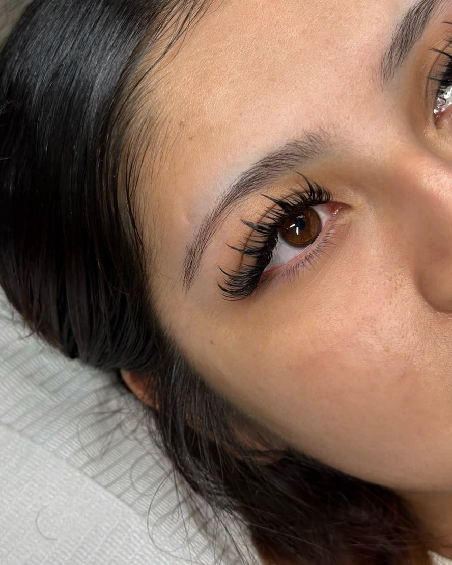 Wispy set on a brown eye, close-up